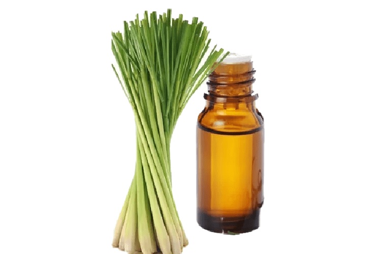 The Lemon Grass Oil Has a Multitude of Beneficial Properties