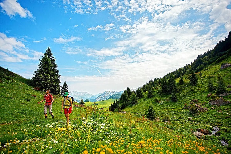 5 Country Retreats to Celebrate Spring in Style Now