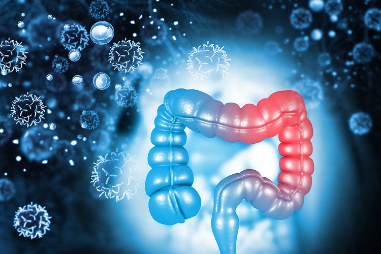 Colorectal Cancer Screening: Tests & Guidelines Guide