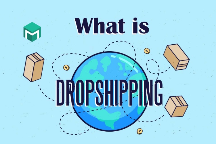 Dropshipping Business Risks Profits and Reality Guide
